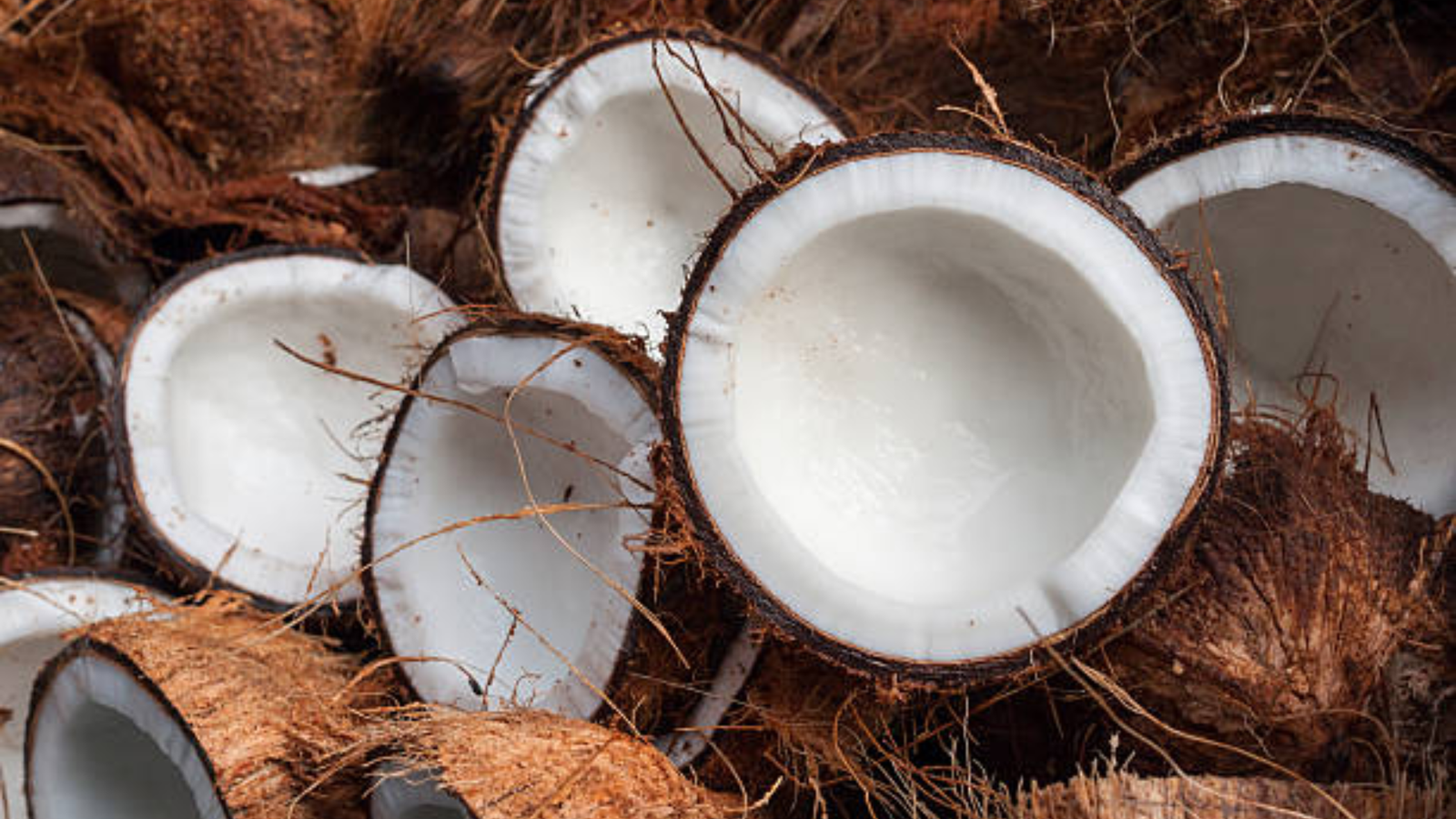 Coconut Meal Deoiled